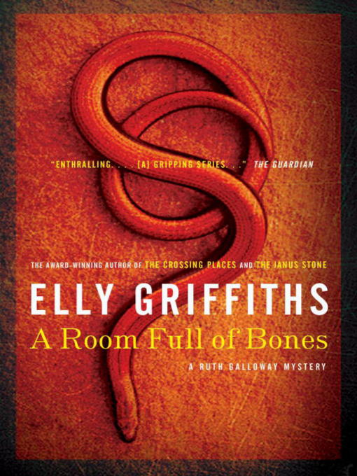 Cover image for A Room Full of Bones